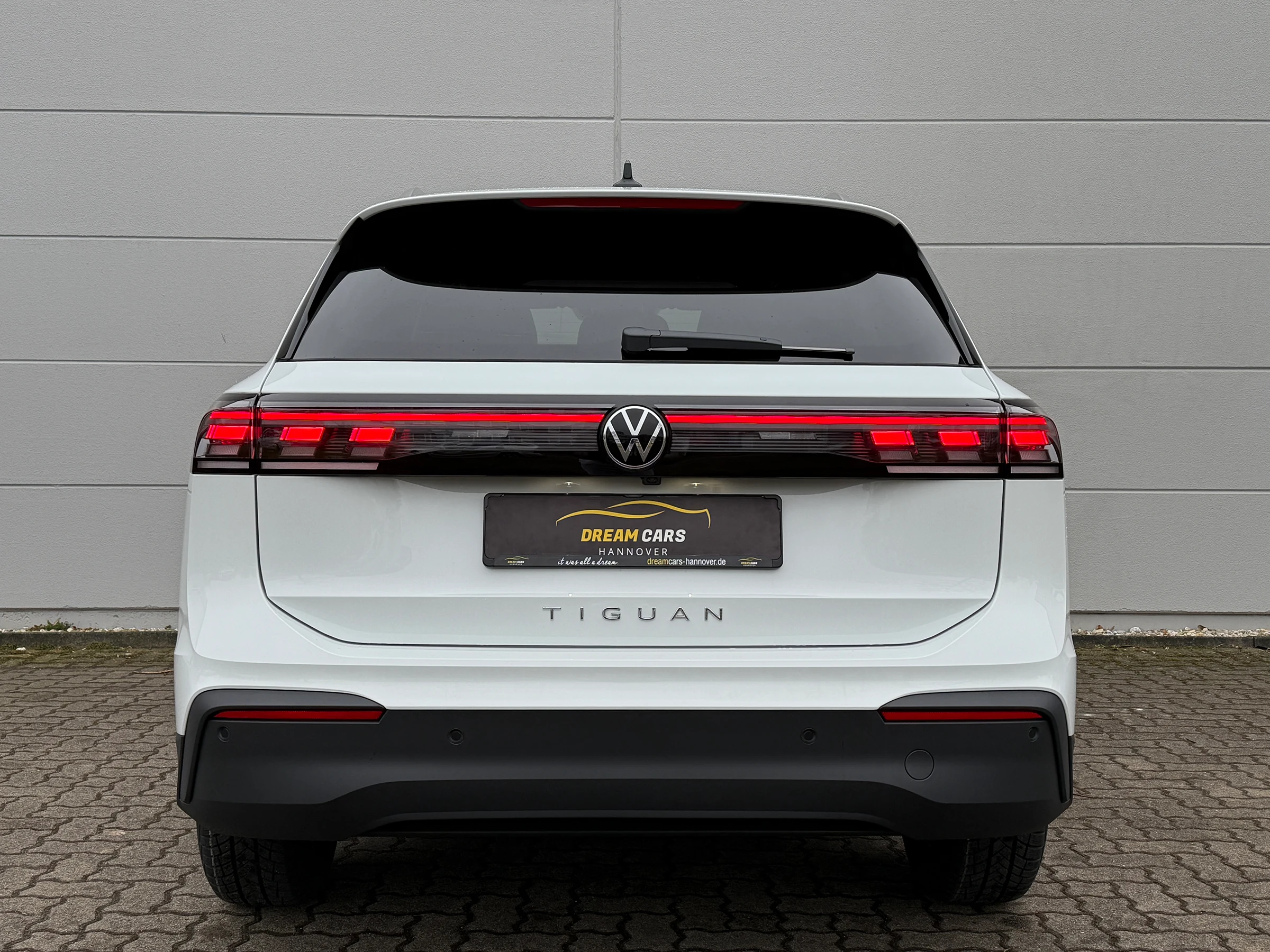 VW Tiguan Goal Diesel - Hinten